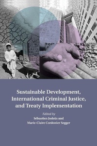 Bild: Sustainable Development, International Criminal Justice, and Treaty Implementation - Cambridge University Press