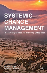 Abbildung von: Systemic Change Management - Palgrave MacMillan