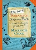 Cover: The Lost Journals of Benjamin Tooth - Faber & Faber