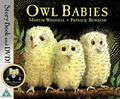 Cover: Owl Babies - Walker Books Ltd