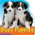 Cover: Busy Puppies - Picthall & Gunzi (an Imprint of Award Publications Ltd)