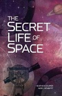 Cover: The Secret Life of Space - Aurum