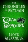 Cover: Taran Wanderer - Usborne Publishing Ltd