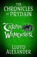 Cover: Taran Wanderer - Usborne Publishing Ltd