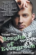 Cover: Boughs of Evergreen: A Holiday Anthology: Volume 2 - Beaten Track Publishing