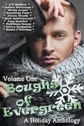 Cover: Boughs of Evergreen: A Holiday Anthology: Volume 1 - Beaten Track Publishing