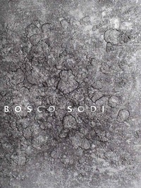 Enlarge image Cover: Bosco Sodi - Edition Braus