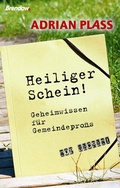 Cover: Heiliger Schein - Brendow