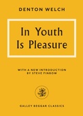 Cover: In Youth Is Pleasure - Galley Beggar Press