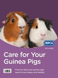 Cover: Care for Your Guinea Pigs - HarperCollins