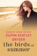 Cover: The Birds of Summer - Open Road Media Teen & Tween