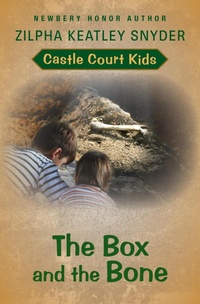 Enlarge image Cover: The Box and the Bone - Open Road Media Teen & Tween