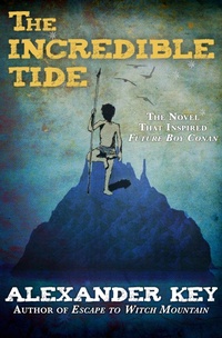 Enlarge image Cover: The Incredible Tide - Open Road Media Teen & Tween
