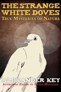 Cover: The Strange White Doves - Open Road Media Teen & Tween