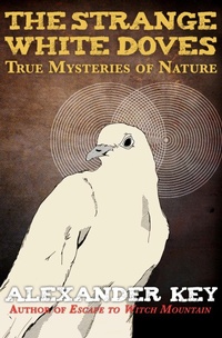 Enlarge image Cover: The Strange White Doves - Open Road Media Teen & Tween