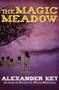 Cover: The Magic Meadow - Open Road Media Teen & Tween