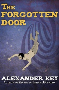 Enlarge image Cover: The Forgotten Door - Open Road Media Teen & Tween
