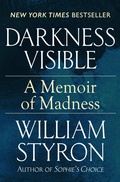 Cover: Darkness Visible - Open Road Media