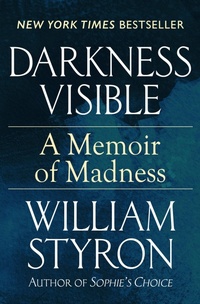 Enlarge image Cover: Darkness Visible - Open Road Media