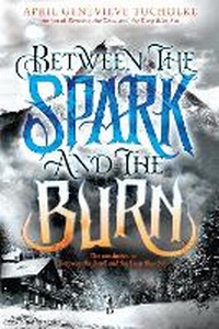 Enlarge image Cover: Between the Spark and the Burn - Speak