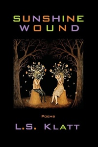 Enlarge image Cover: Sunshine Wound - Parlor Press