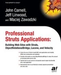 Cover: Professional Struts Applications - Apress