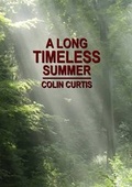 Cover: A Long Timeless Summer - Lulu.com