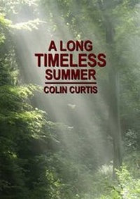 Enlarge image Cover: A Long Timeless Summer - Lulu.com