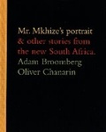 Cover: Mr Mkhize's Portrait & Other Stories from the new South Africa - Trolley Books