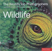 Abbildung von: 40 Top Wildlife Photographers - Rotovision