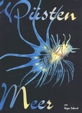 Cover: Desert Sea - Schmid, Hagen