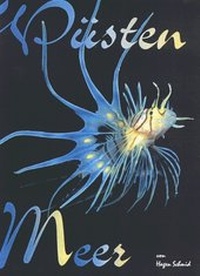 Enlarge image Cover: Desert Sea - Schmid, Hagen