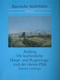 Cover: Amberg - Deutscher Sparkassen Verlag