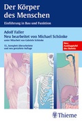 Cover: Der K&ouml;rper des Menschen - Thieme