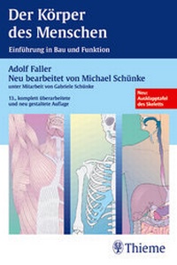 Enlarge image Cover: Der Körper des Menschen - Thieme