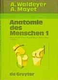 Cover: Anatomie des Menschen... f&uuml;r Studierende und &Auml;rzte, dargestellt nach... - De Gruyter