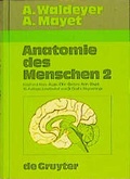 Cover: Anatomie des Menschen... f&uuml;r Studierende und &Auml;rzte, dargestellt nach... - De Gruyter