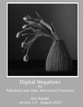 Cover: Digital Negatives for Palladium and Other Alternative Processes - Lulu.com