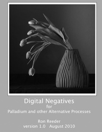 Enlarge image Cover: Digital Negatives for Palladium and Other Alternative Processes - Lulu.com