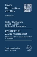 Cover: Praktisches Zivilprozessrecht - Springer