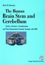 Cover: The Human Brain Stem and Cerebellum - Springer