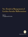 Bild: New Trends in Management of Cerebro-Vascular Malformations - Springer