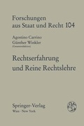 Cover: Rechtserfahrung und Reine Rechtslehre - Springer