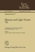 Cover: Mesons and Light Nuclei '95 - Springer