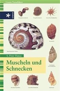 Cover: Muscheln und Schnecken - Urania