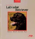 Cover: Labrador Retriever - M&uuml;ller R&uuml;schlikon