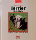 Cover: Terrier /Niederl&auml;ufer - M&uuml;ller R&uuml;schlikon