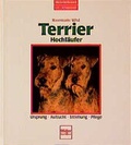 Cover: Terrier /Hochl&auml;ufer - M&uuml;ller R&uuml;schlikon