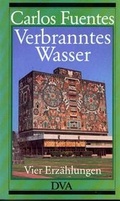 Cover: Verbranntes Wasser - DVA