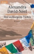 Cover: Der verborgene T&uuml;rkis - Droemer Knaur